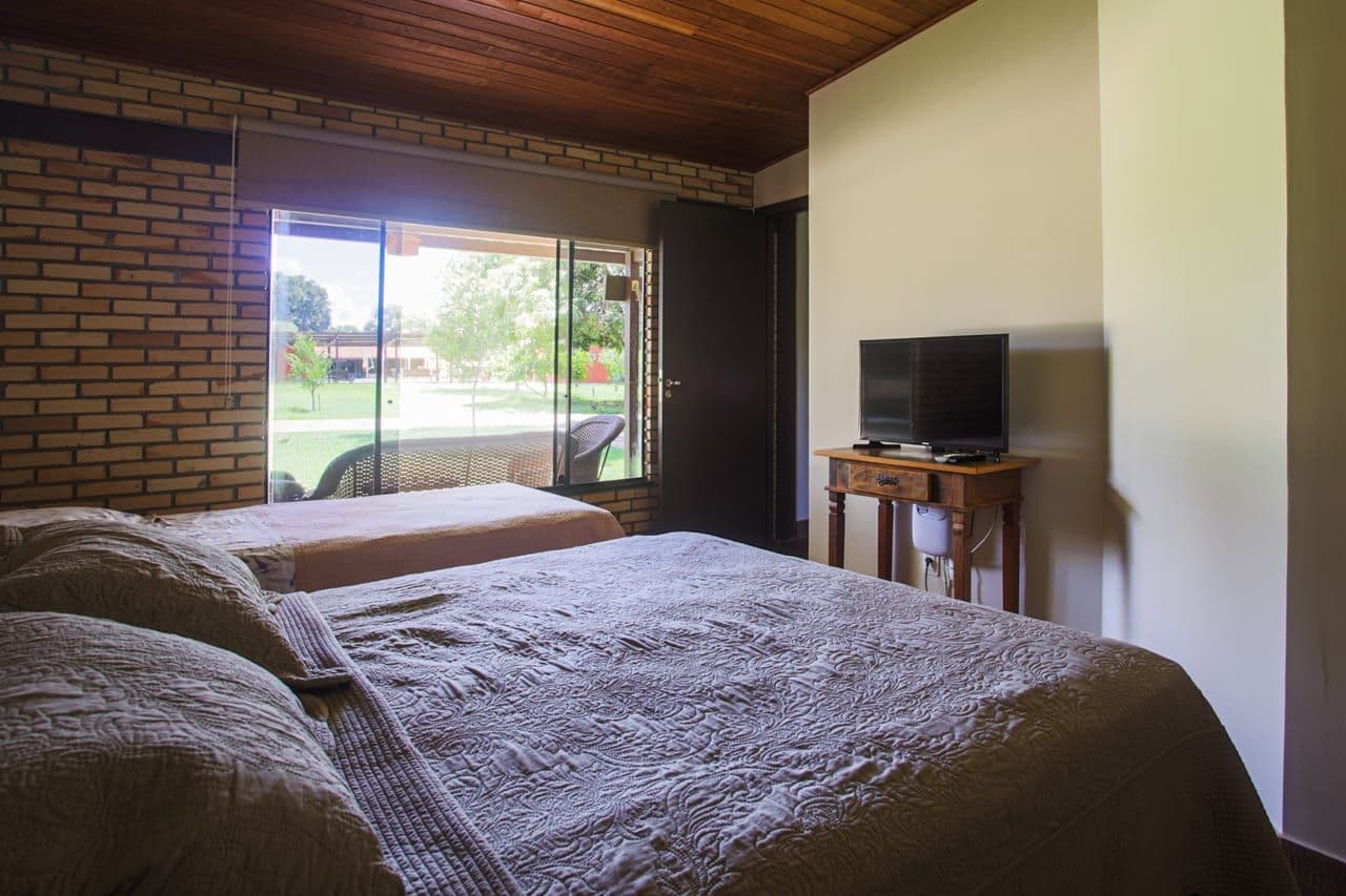 Habitación 1
